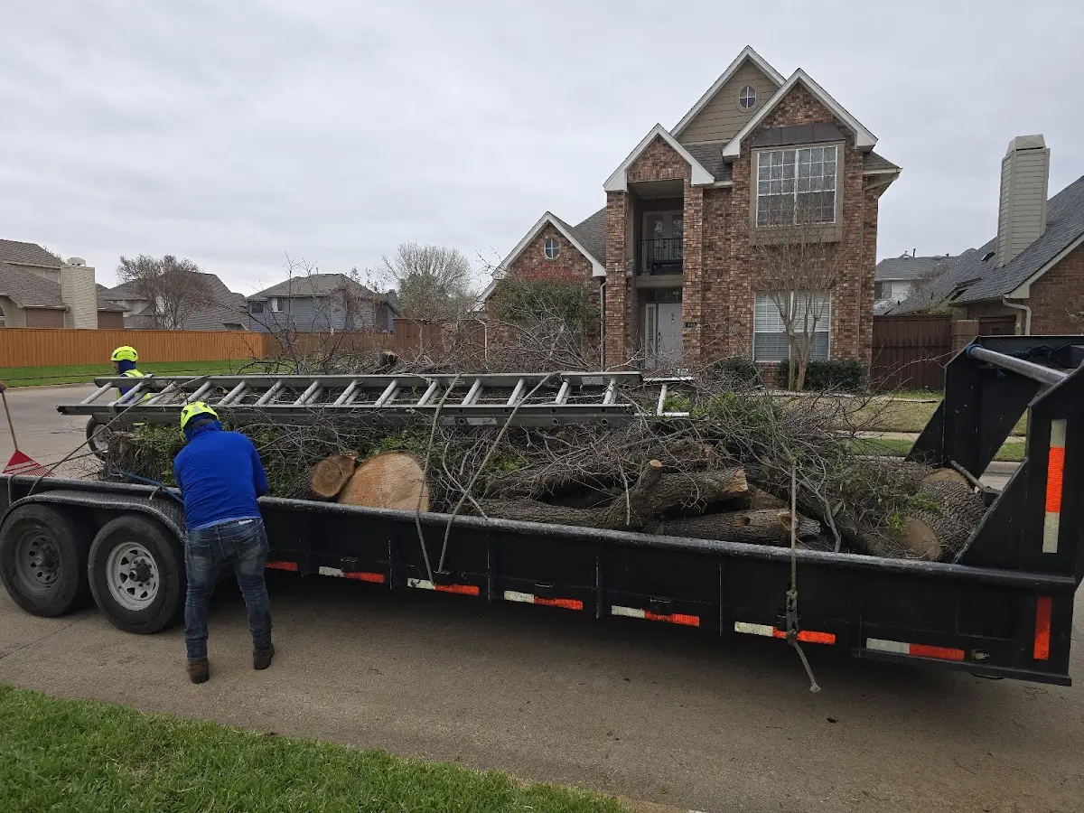 Expert Tree Fertilization with proper safety equipment in Georgetown